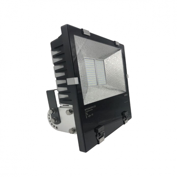 COASTAL CORE STAINLESS STEEL FLOOD LIGHT